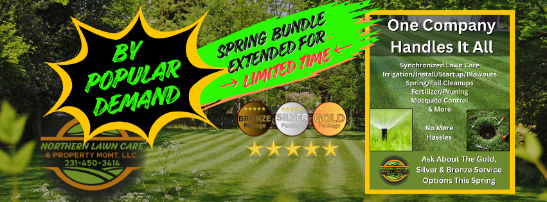 NLC Spring Offer