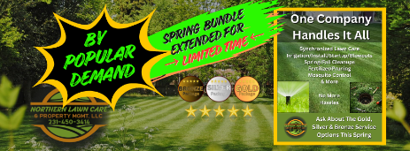 NLC Spring Offer